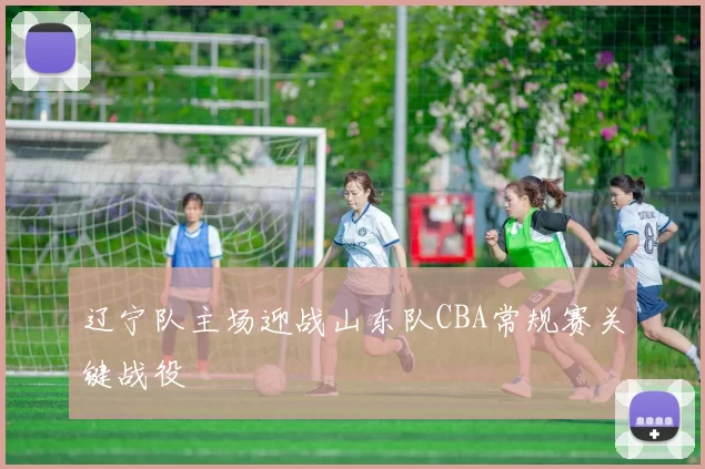 辽宁队主场迎战山东队CBA常规赛关键战役