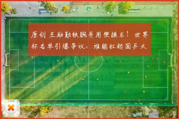 原创 王励勤铁腕弃用樊振东！世界杯名单引爆争议，谁能扛起国乒大旗